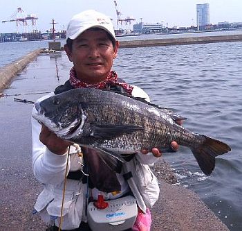 博多沖防落とし込み自己新55.1cm