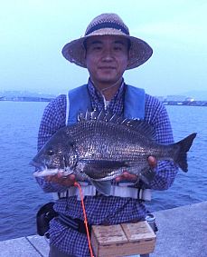 tBƂݒމ09-6-8