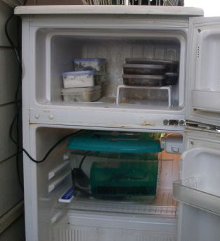 餌保存用冷蔵庫